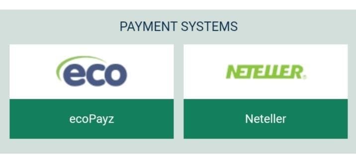 betwinner payment systems